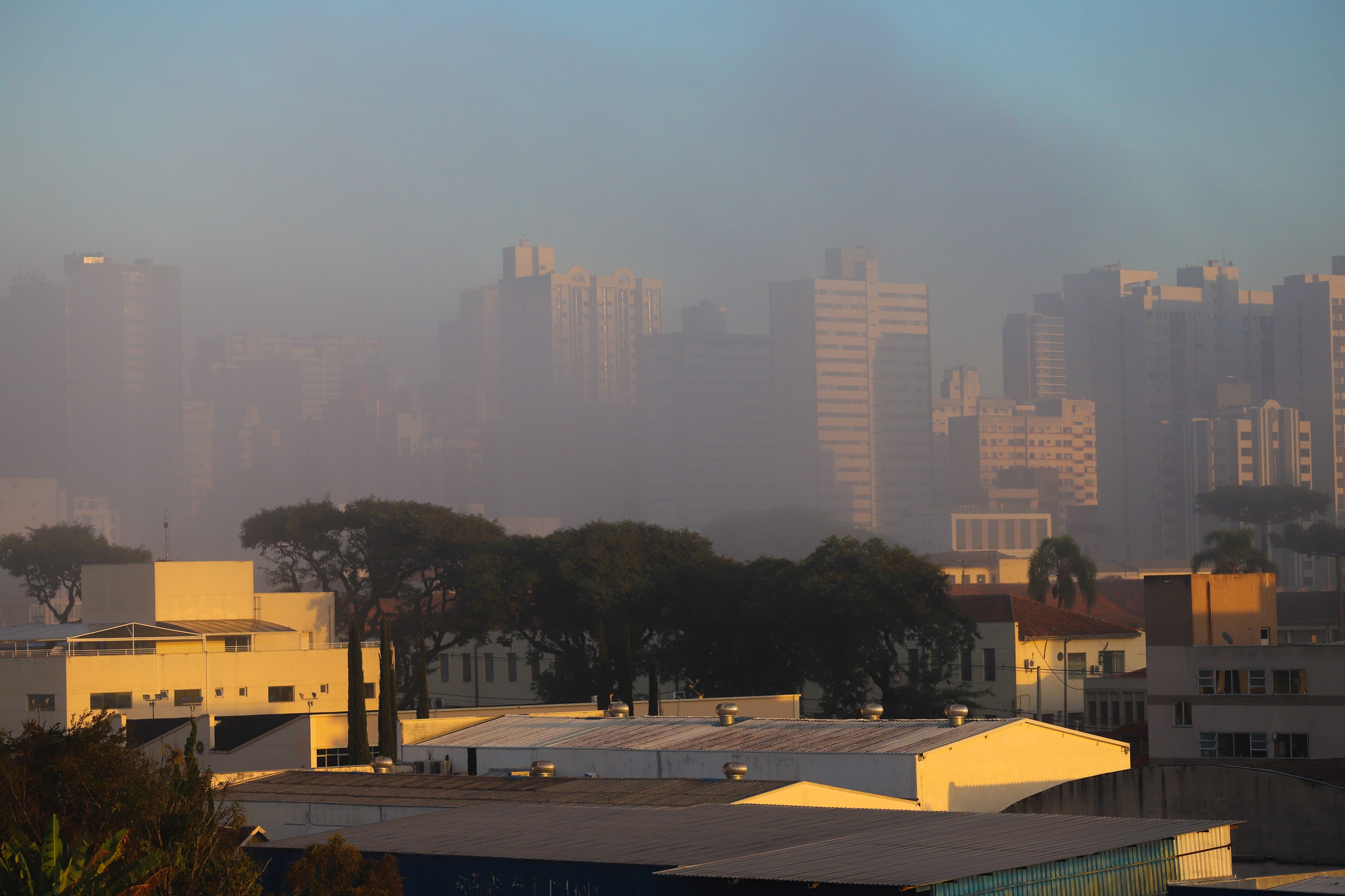 'Neblina que baixa, sol que racha?': entenda fenômeno e porquê nem sempre ditado popular está correto