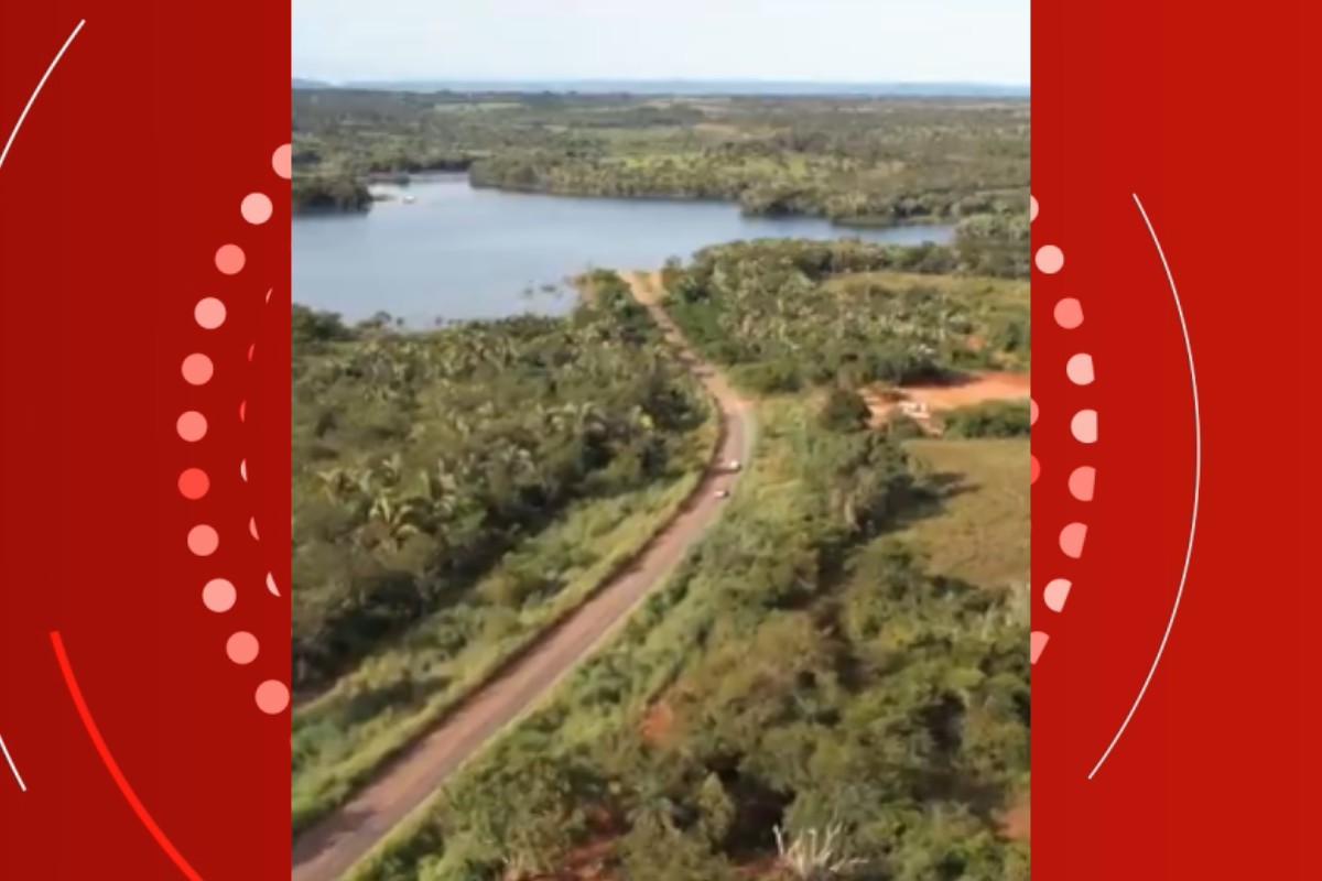 Professora é atacada por filhote de onça-parda ao voltar para casa após último dia de aula em MT