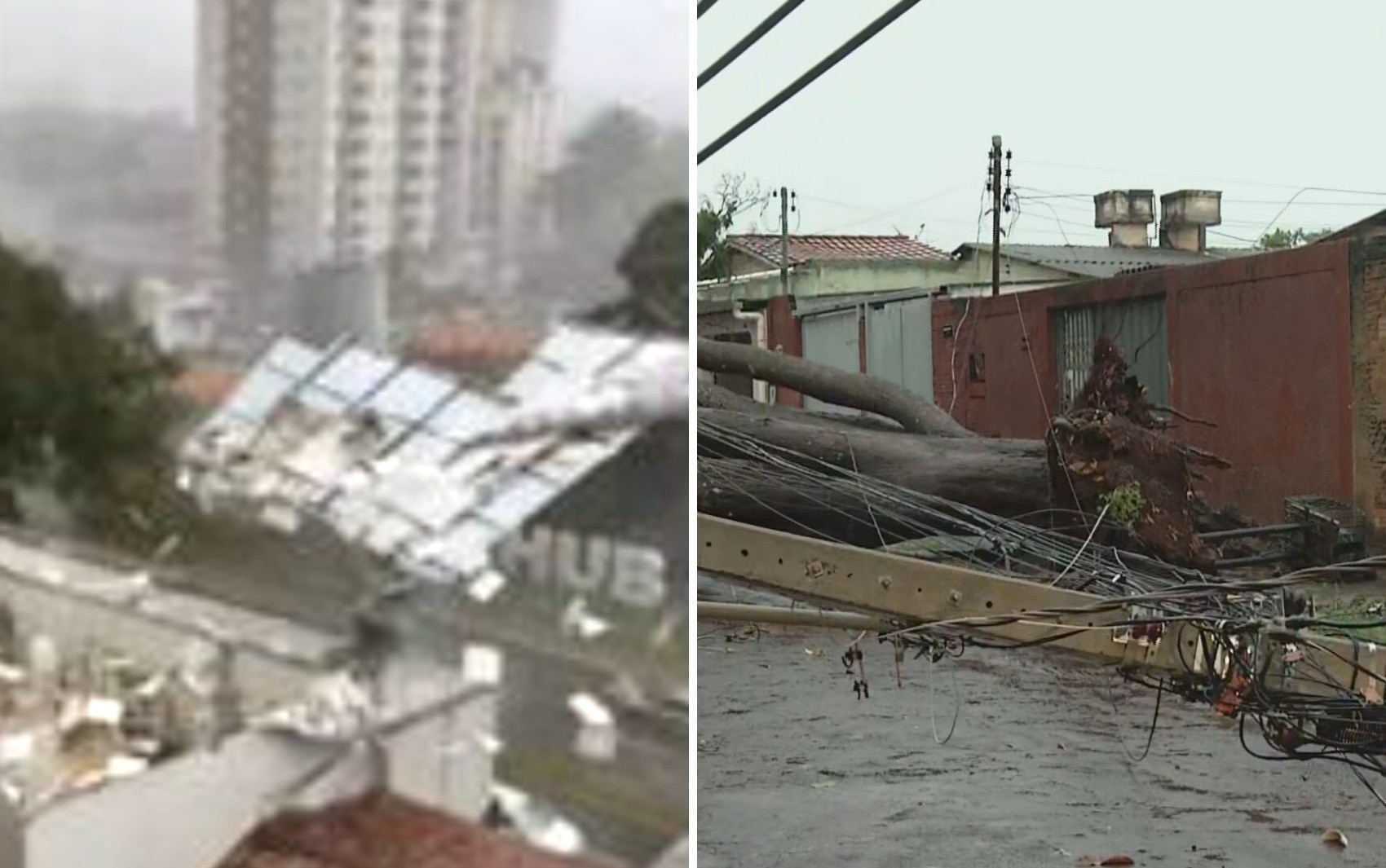 Chuva arranca telhado de estúdio de pilates, derruba postes e árvores em Goiânia; vídeos