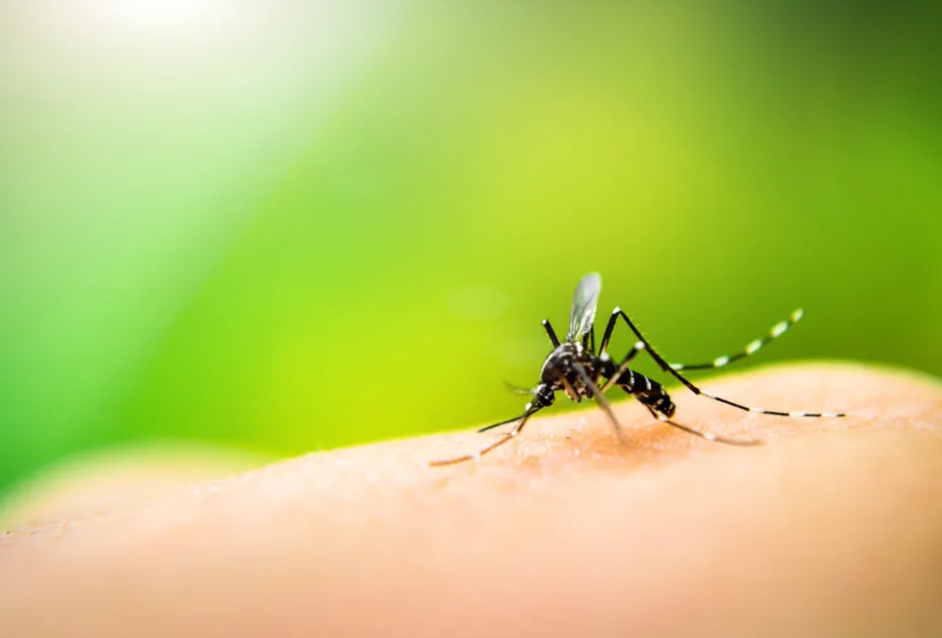 Adolescente chega em estado grave e morre com suspeita de dengue em Corumbá