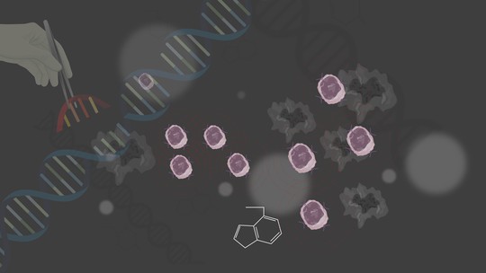 Cientistas criam célula CAR-T 'turbinada' com nanogel para superar barreira de tumores cancerígenos sólidos - Nova tecnologia chinesa usa enzima embutida em gel inteligente para facilitar entrada das células de defesa no interior dos tumores, melhorando a eficácia do tratamento.