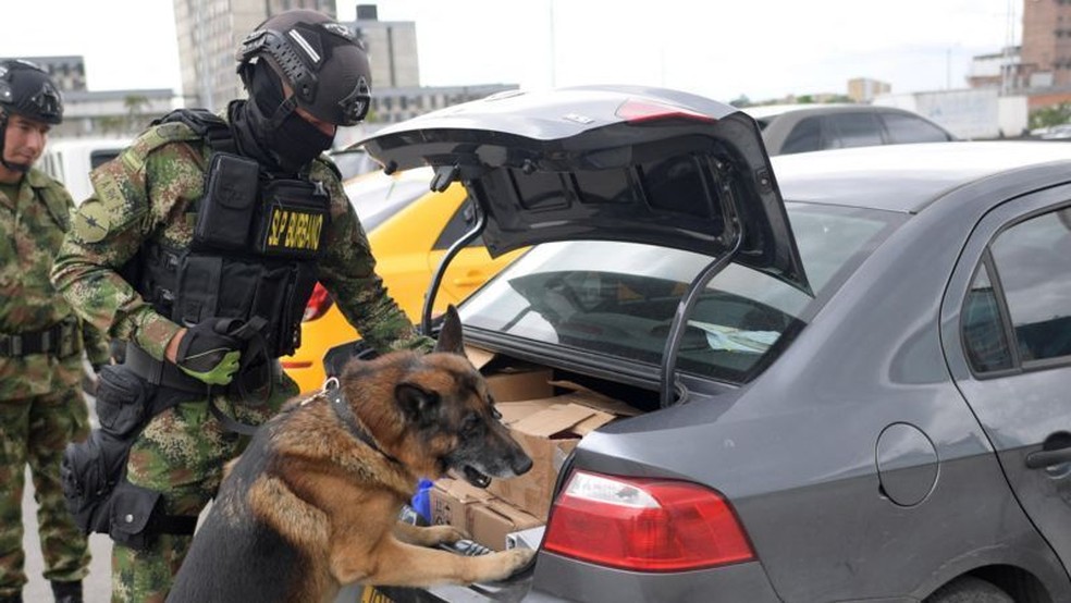 Cães farejadores são usados até em clientes de shopping center na Colômbia — Foto: GETTY IMAGES