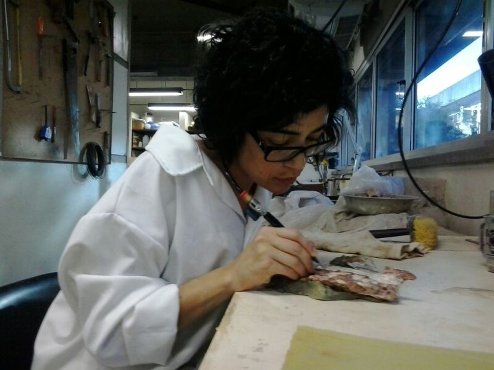 Paleontóloga Bianca Mastrantonio é líder de estudo sobre o Prestosuchus chiniquenses — Foto: Arquivo pessoal