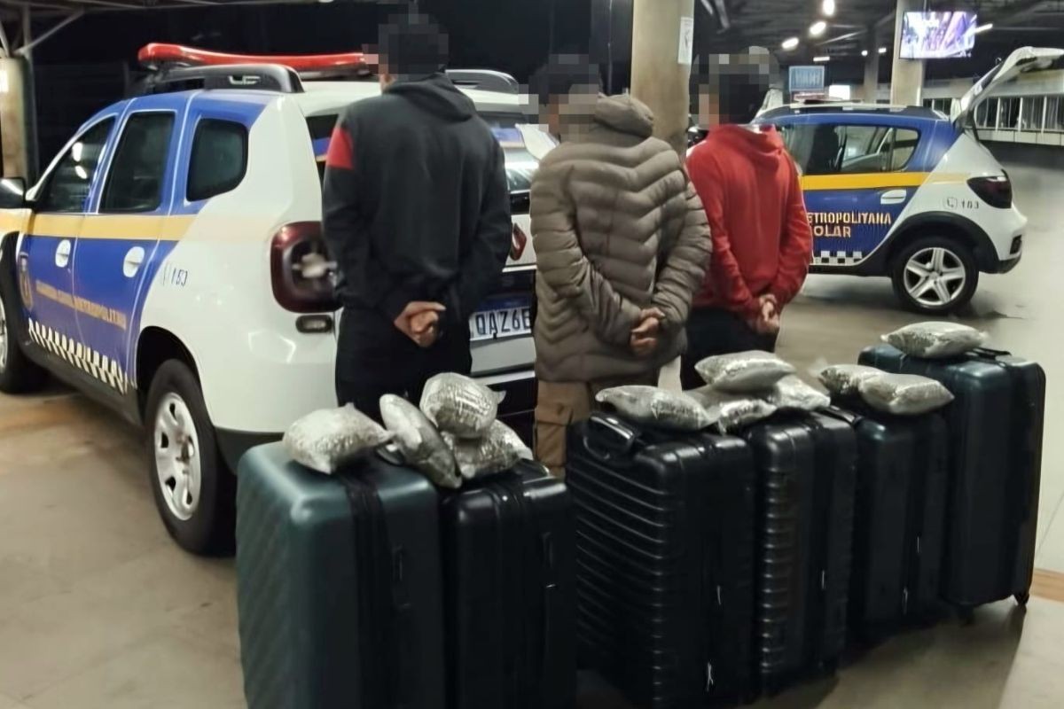 Mais de 90 kg de maconha são encontrados em malas com destino a Curitiba na rodoviária de Campo Grande
