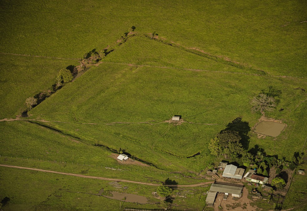 Imagens inéditas de geoglifos no Sul do Amazonas — Foto: Diego Gurgel