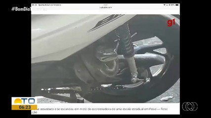 Saiba o que é notícia no portal g1 Tocantins