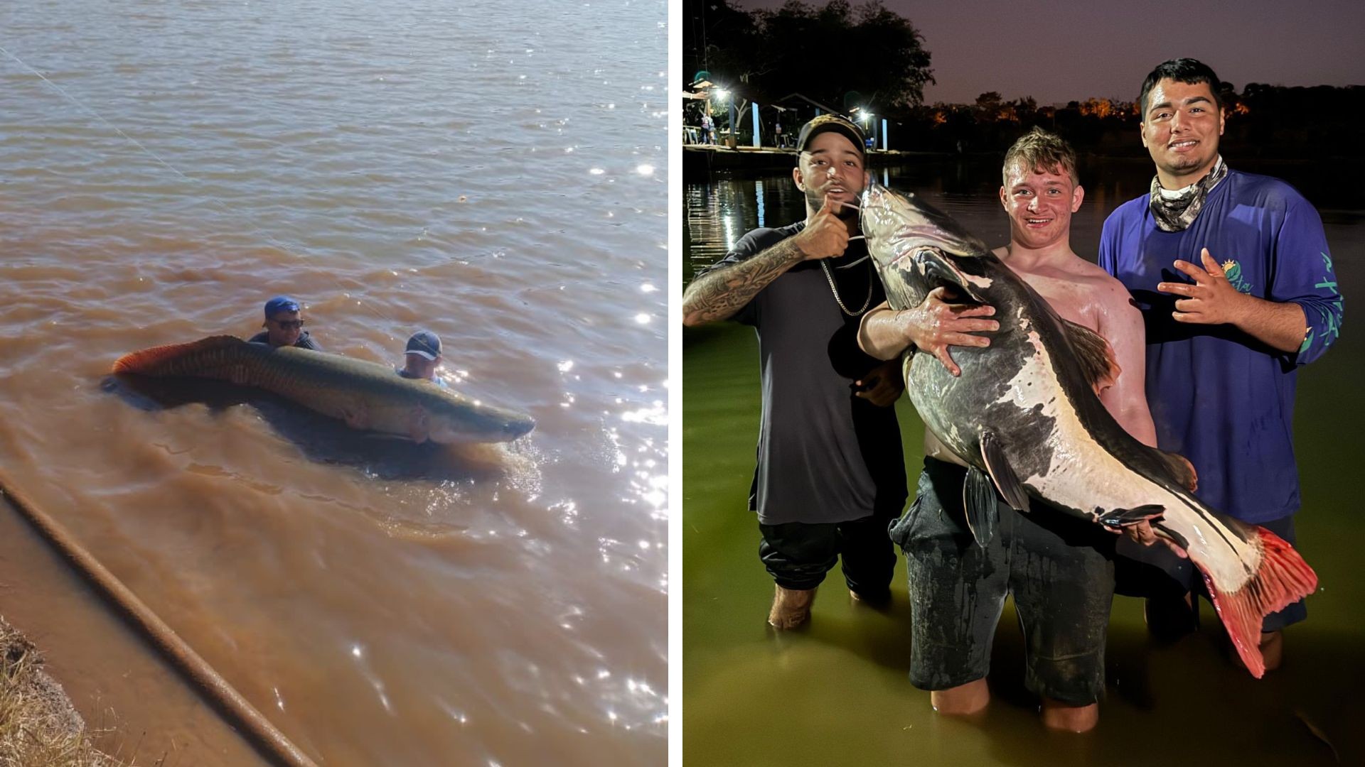 Jovem que pescou ‘monstro dos rios’ de mais de 40 kg já capturou peixes de 100 kg; veja quais