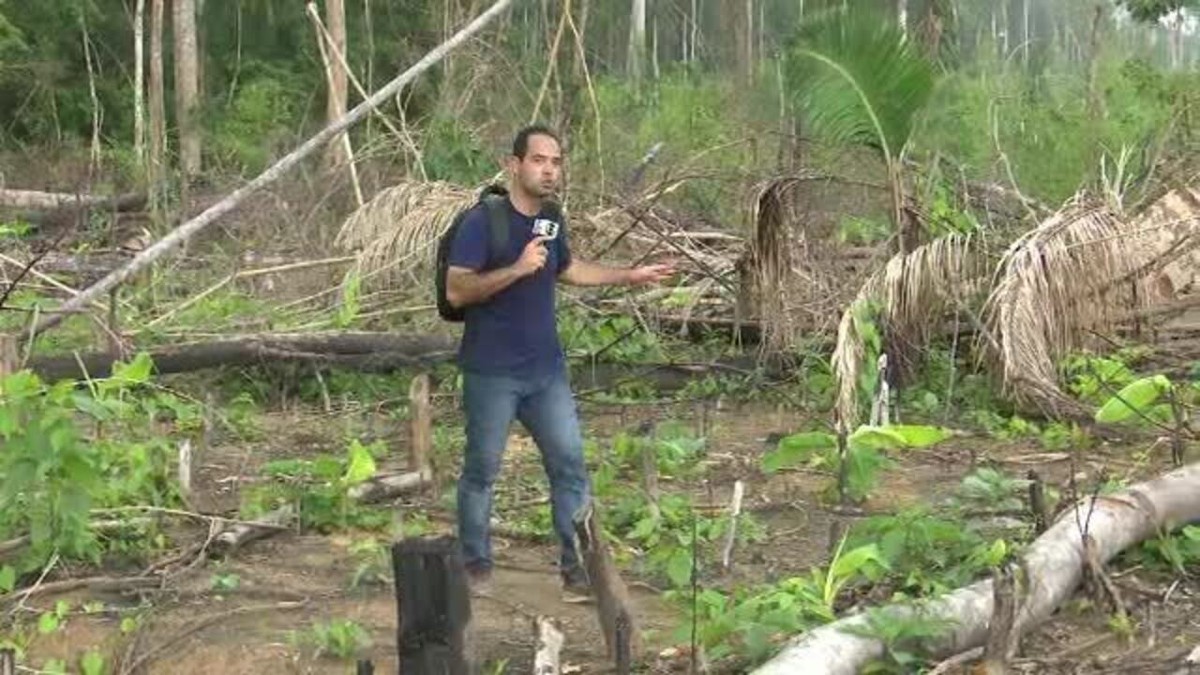 Reserva Chico Mendes morre aos poucos com desmatamento, crise hídrica e  violência
