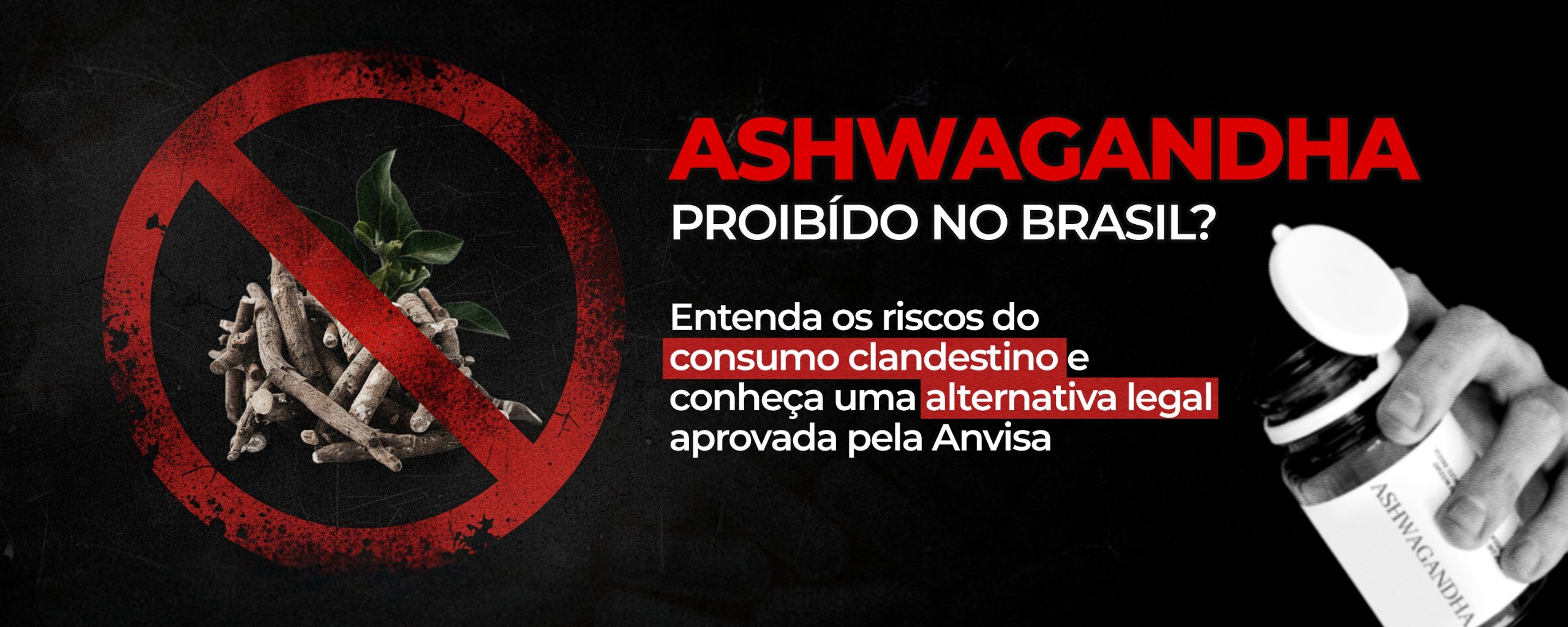 Ashwagandha: Entenda riscos e descubra alternativas legais