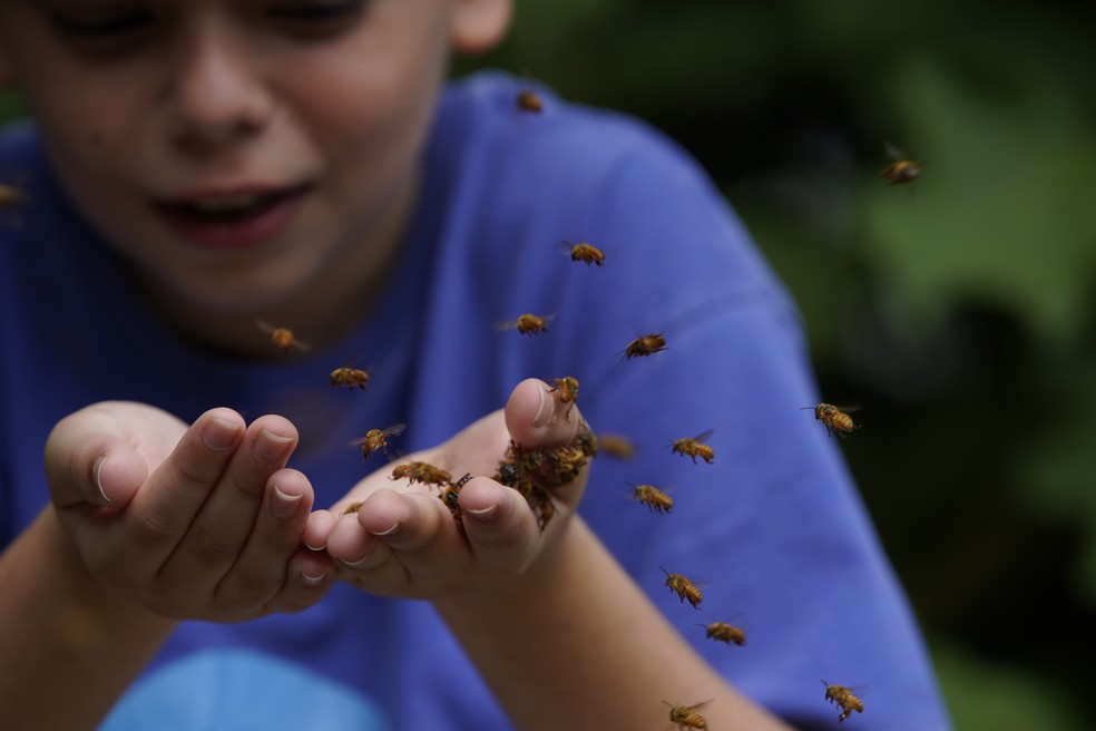 Geraldo Enrico Tigre Herzog, 11 anos, menino autista que encontrou nas abelhas uma forma de se socializar com o mundo — Foto: Ricardo Medeiros/Rede Gazeta