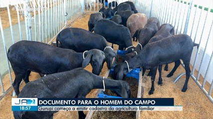 Gurupi começa a emitir cadastro da agricultura familiar