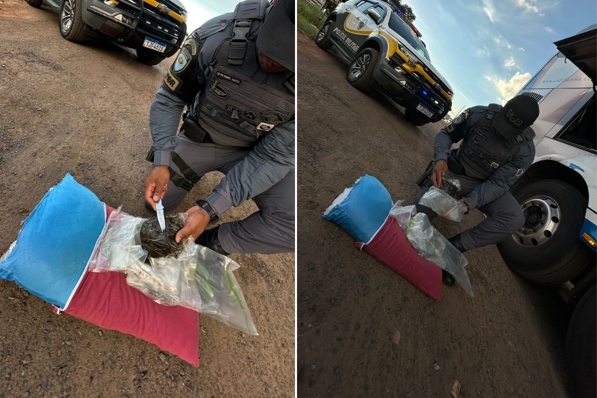 Polícia encontra haxixe escondido em travesseiro e corpete durante abordagem a ônibus no interior de SP