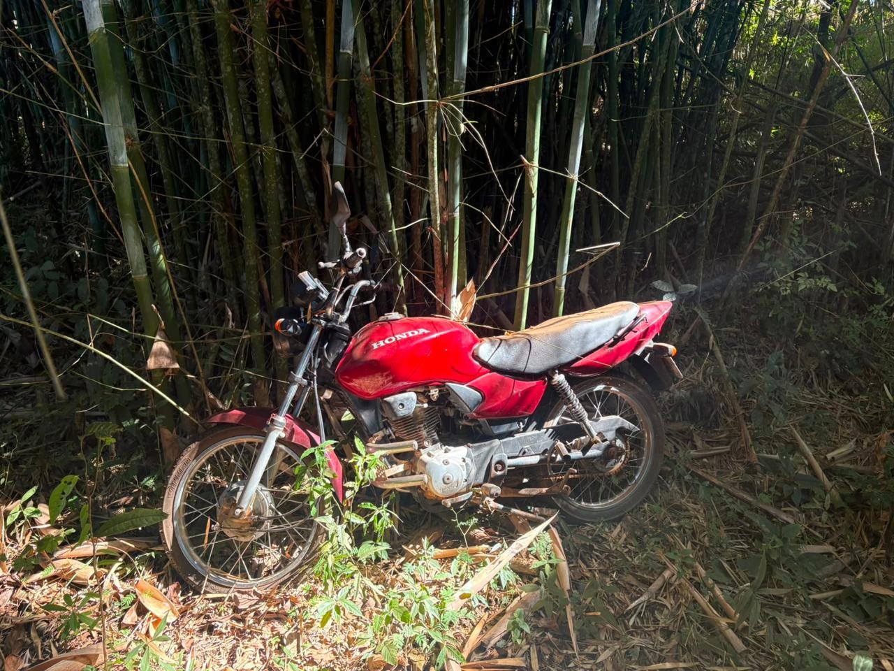 'Tudo indica que seja a vítima do desaparecimento', diz delegado sobre corpo encontrado em Peçanha
