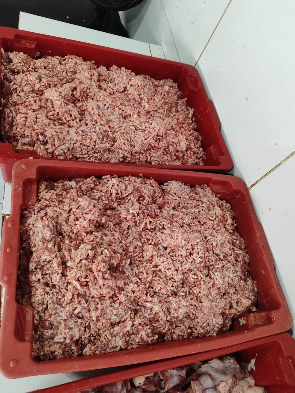Carne para produção de linguiça em fábrica clandestina no Costa e Silva — Foto: Polícia Civil/Divulgação