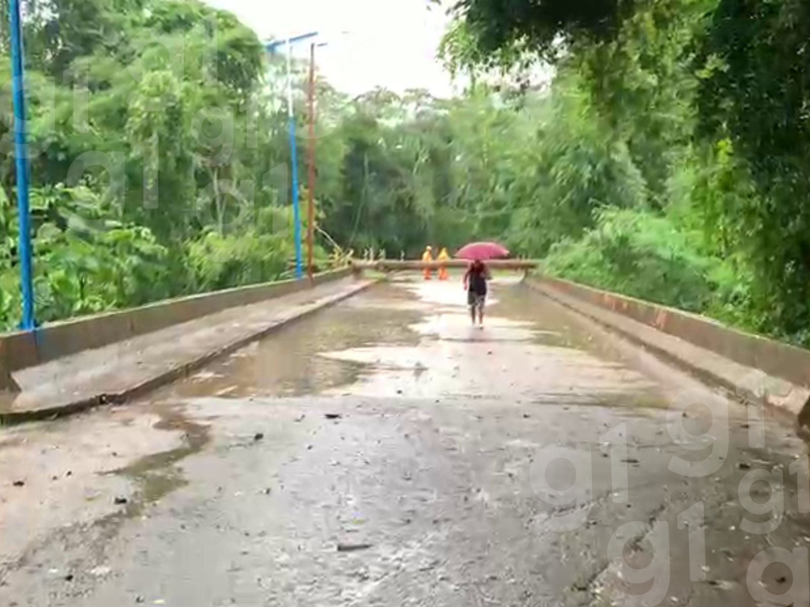
Durante tempestade, árvore cai em cabeceira de ponte e bloqueia trânsito em Rio Branco