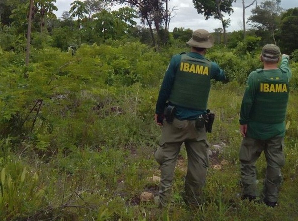 Operação embarga áreas e aplica multas por desmatamento na Paraíba — Foto: Divulgação/Ibama/PB