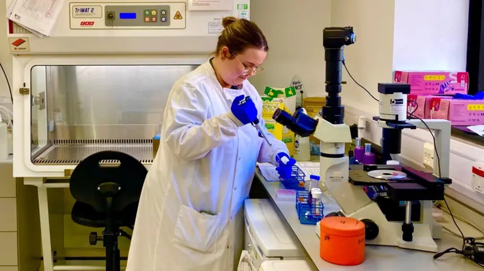 Cientistas da Universidade de Newcastle separam os glóbulos brancos do sangue dos pacientes — Foto: BBC