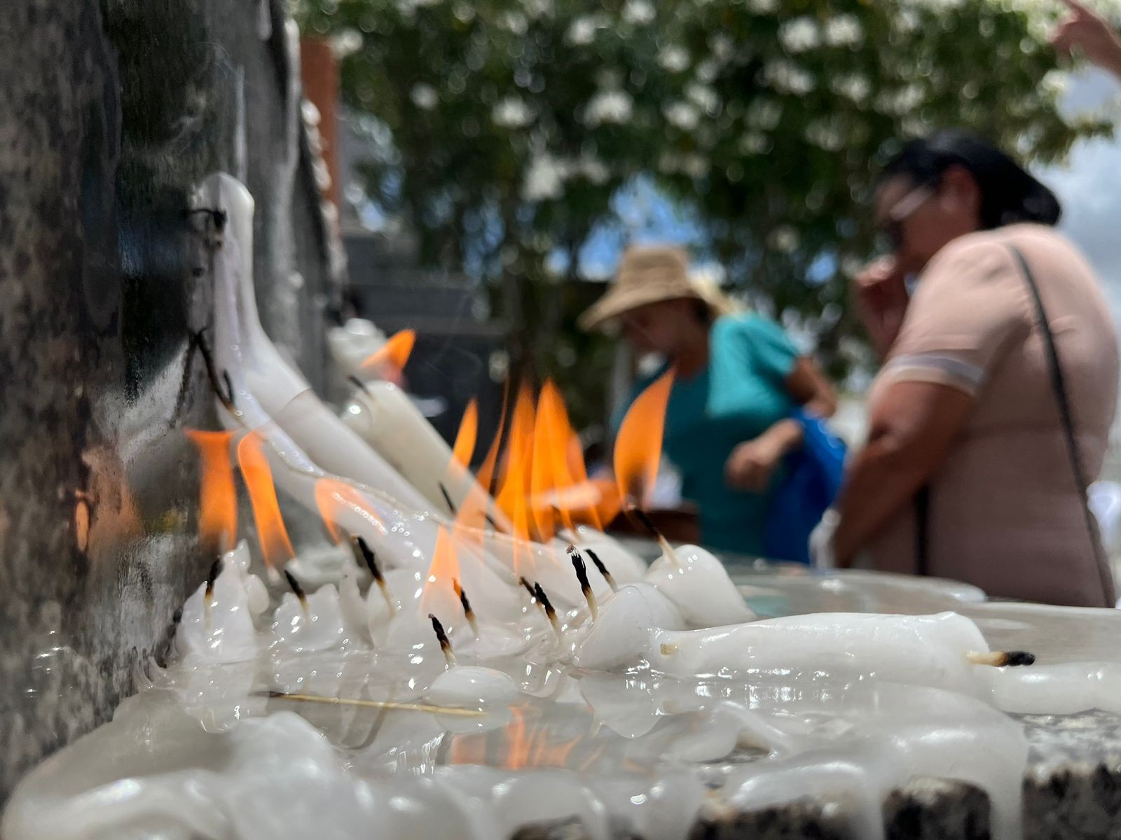 Dia de Finados: saiba como celebração pagã dos mortos virou tradição na Igreja Católica