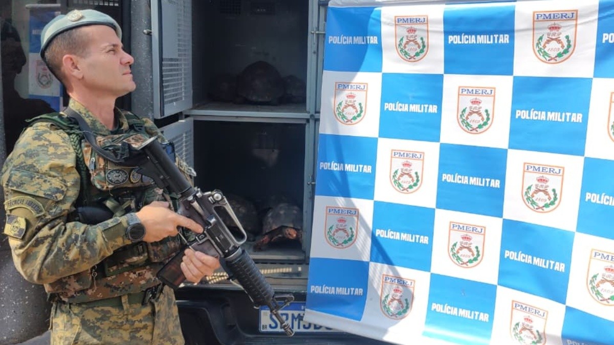Após denúncia de maus-tratos, PMs resgatam sete jabutis na Zona Norte do Rio