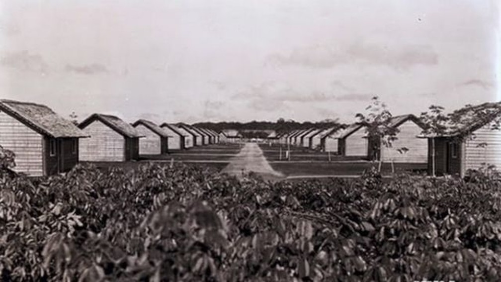 Empresa chegou a fundar em 1928 uma cidade no interior do Pará, a Fordlândia, para explorar as seringueiras que abasteceriam suas fábricas com borracha — Foto: Divulgação/Ford