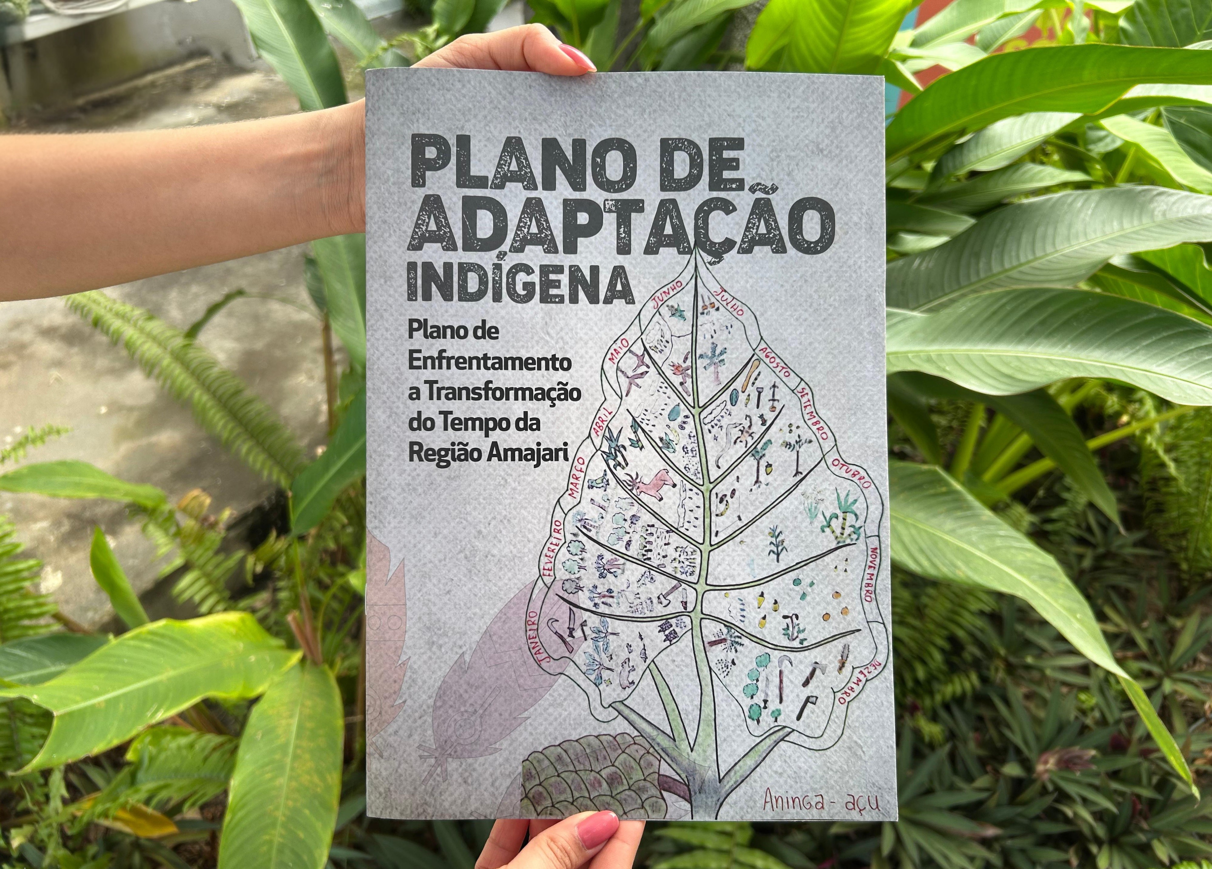 COP30: Indígenas de Roraima criam plano inédito contra crise climática como modelo para outros países