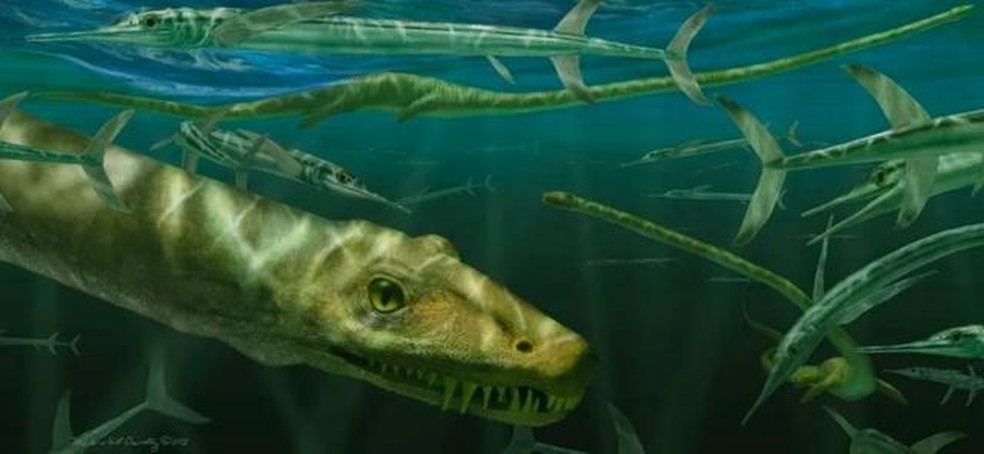 A artista Marlene Donelly recriou uma cena do Dinocephalosaurus orientalis nadando com peixes pré-históricos — Foto: Marlene Donelly/BBC