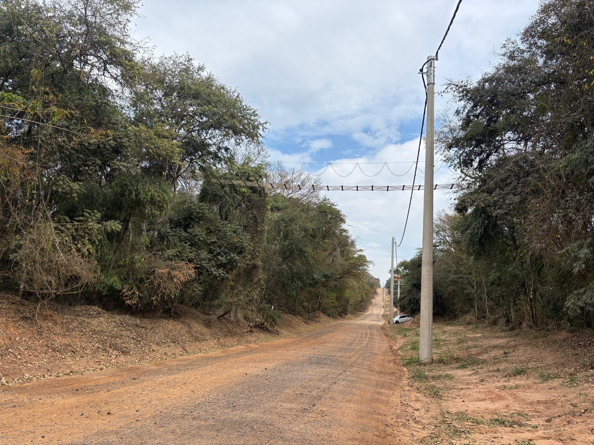 Passagem suspensa conecta Mata Atlântica na Estação Ecológica de Barreiro Rico