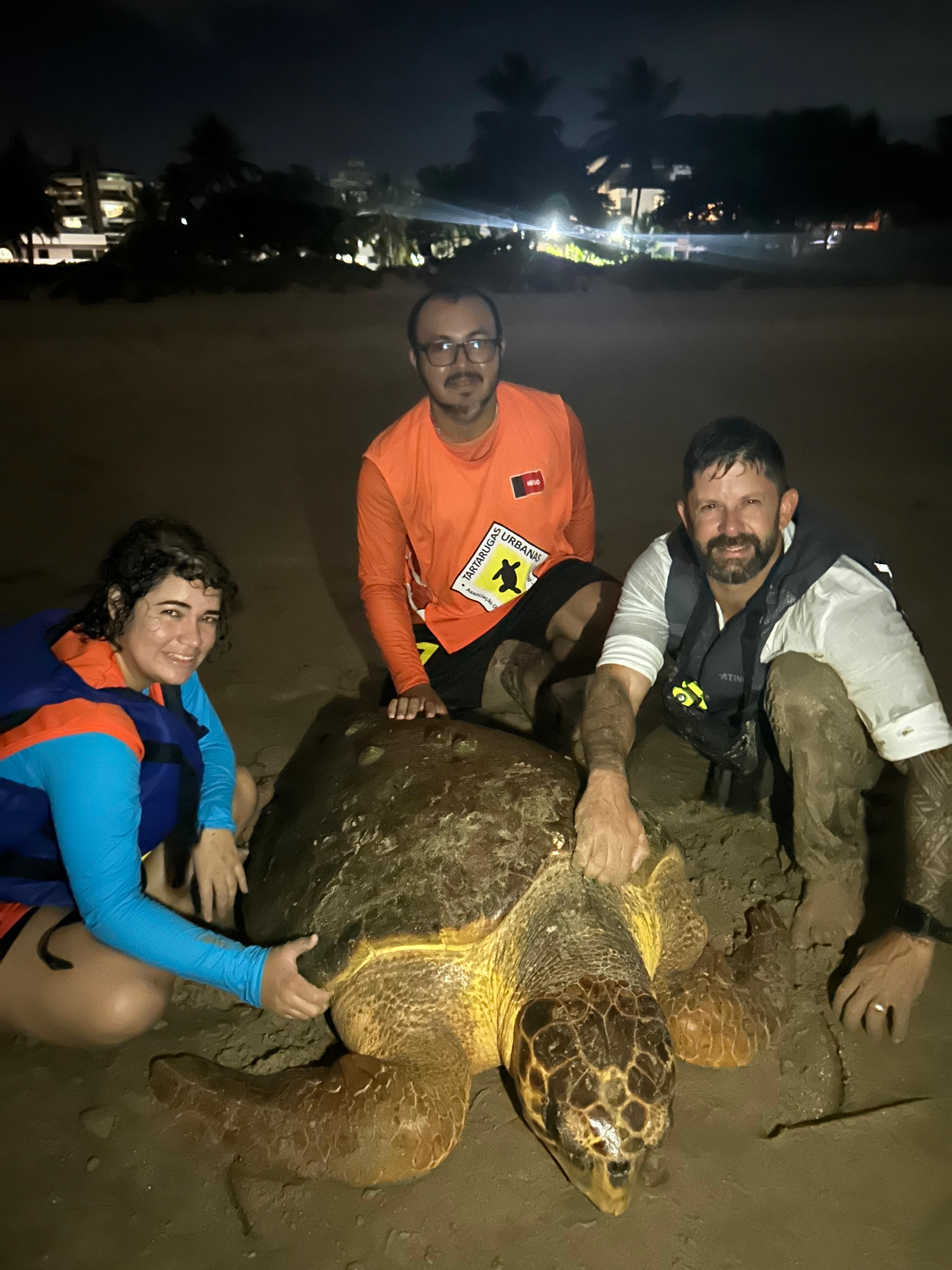 Sem conseguir mergulhar, tartaruga marinha é resgatada no mar da Praia de Intermares, em Cabedelo