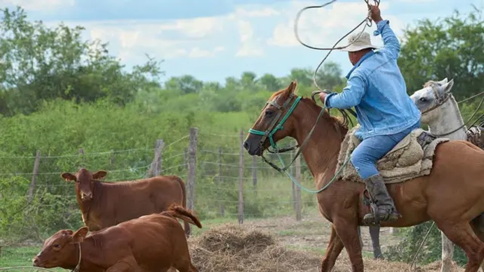 Em 2025, o Chile permaneceu sendo o principal importador de carne bovina do Paraguai — Foto: Getty Images