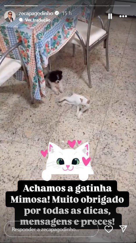 Mimosa voltou! Gata de Zeca Pagodinho é encontrada 
