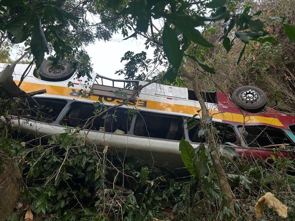 Ônibus capotou e desceu em uma área de serra na Serra da Barriga, em União dos Palmares, Alagoas — Foto: Portal BR-104
