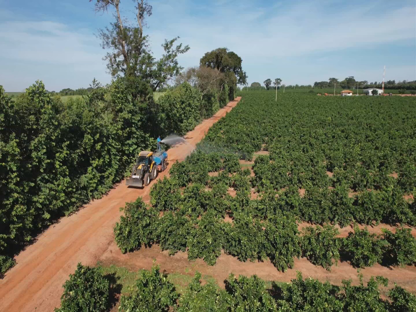 Produtores tentam se proteger contra ameaça de incêndios na seca
