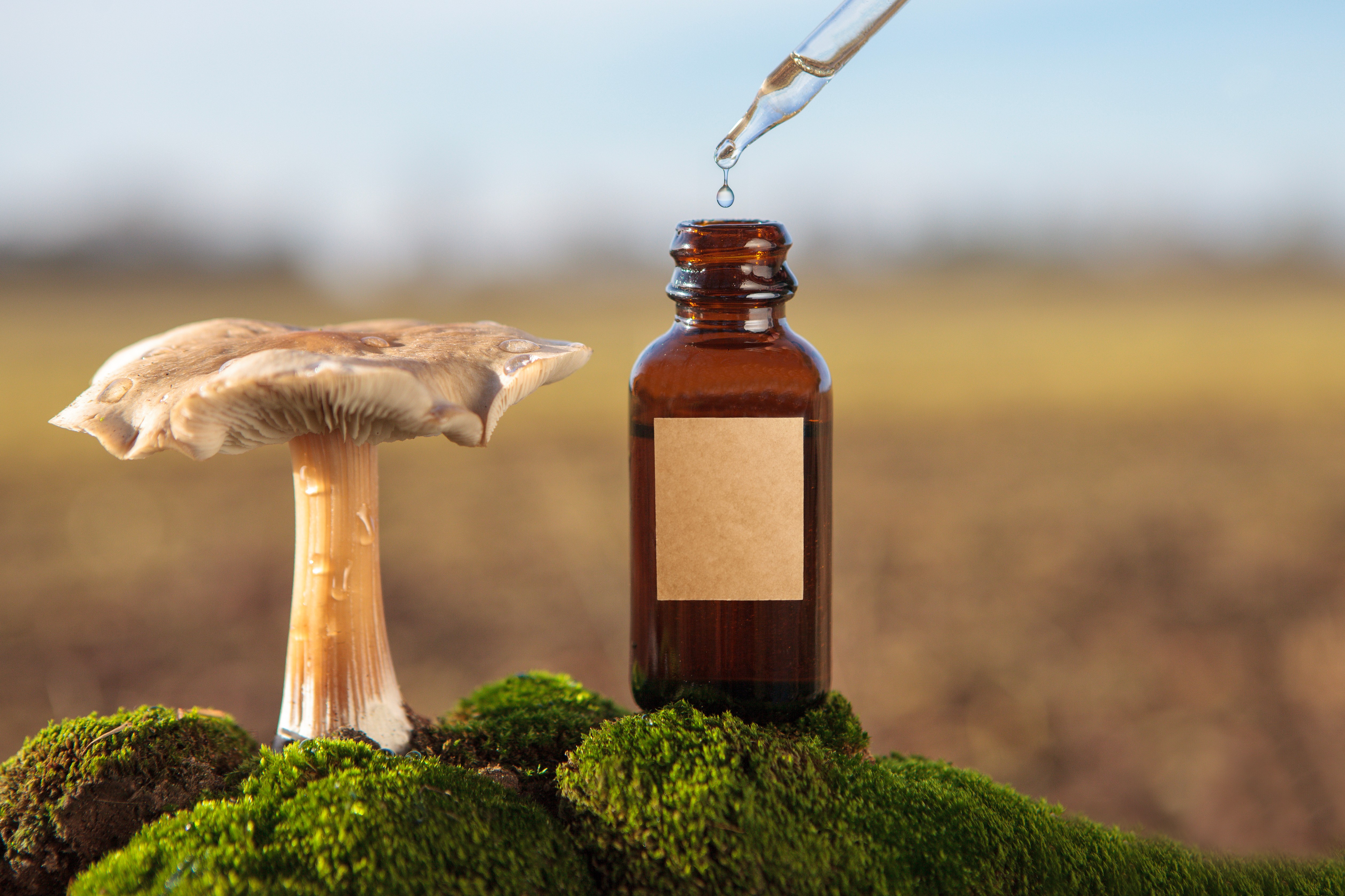 Como os resíduos dos medicamentos afetam o meio ambiente 