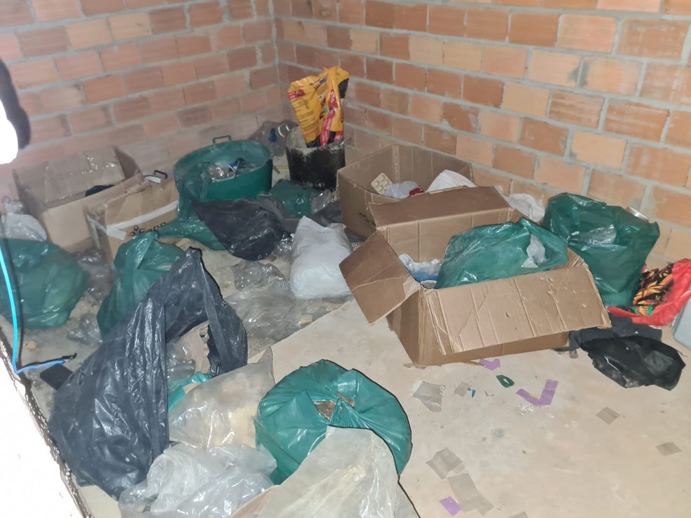 Uma das casas servia como depósito para as substâncias, segundo a PM — Foto: Polícia Militar/Divulgação