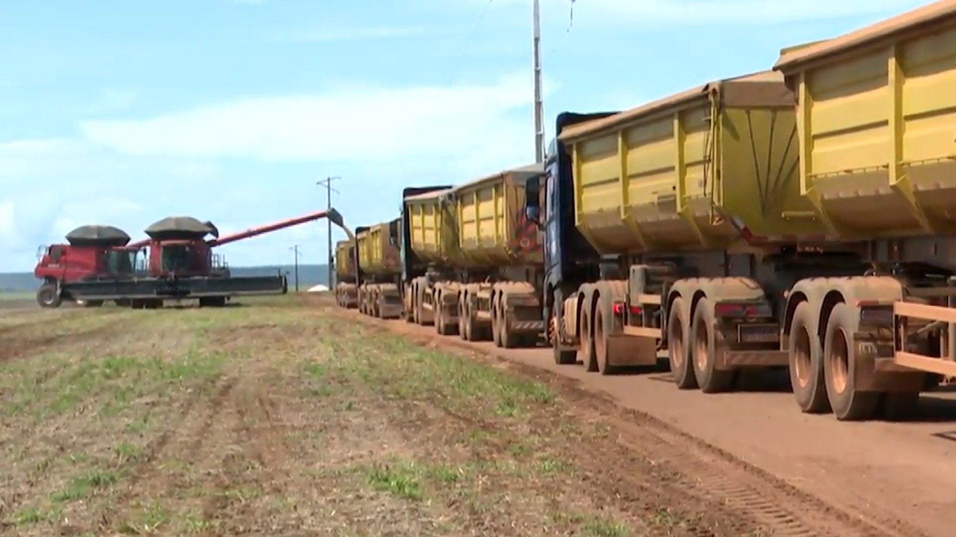 Alta do diesel aumenta custo da produção da soja e preocupa produtores em Balsas, no Sul do MA