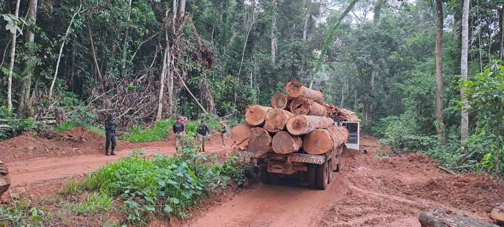 Caminhão com madeira foi apreendido durante operação, em Rondônia — Foto: PF/Reprodução