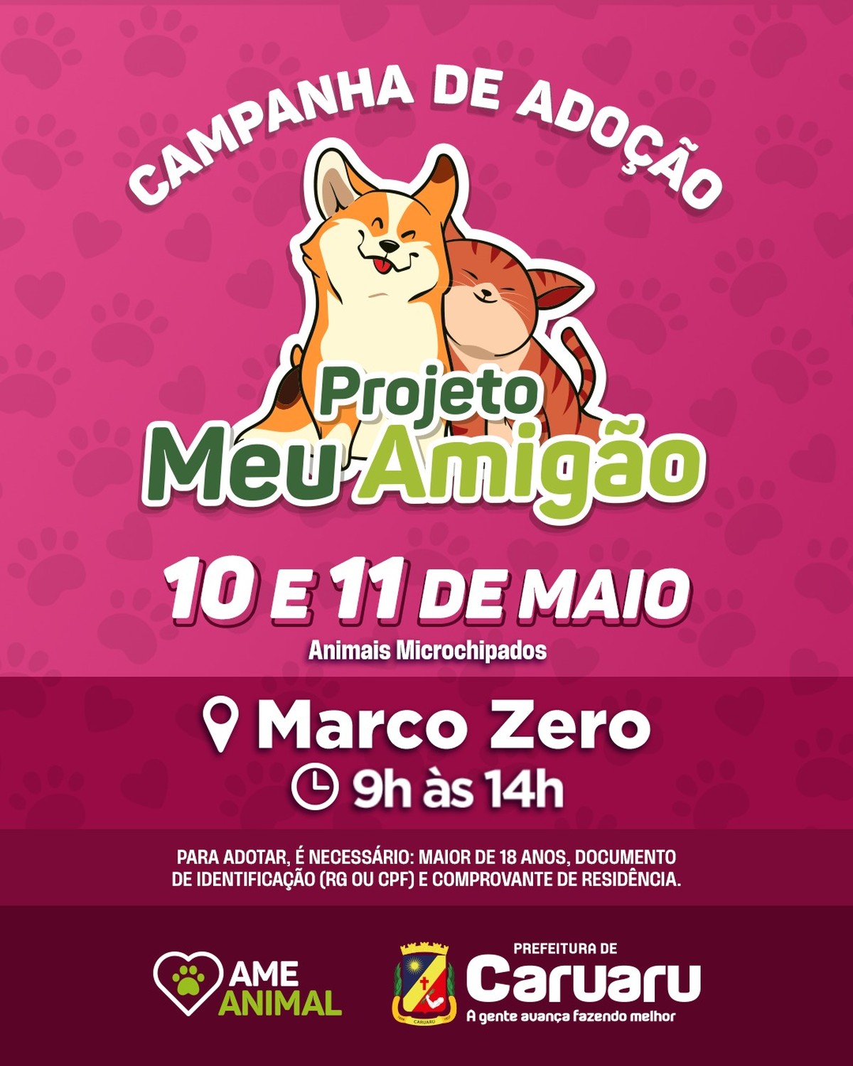 Feira de adoção animal é promovida em Caruaru até a próxima quinta ...