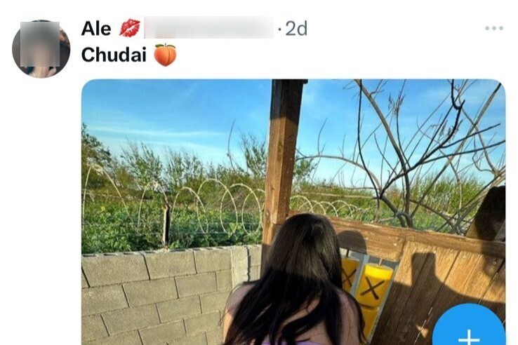 Chudai: criadores de conteúdo 18+ se apropriam de termo para promover sexo no X
