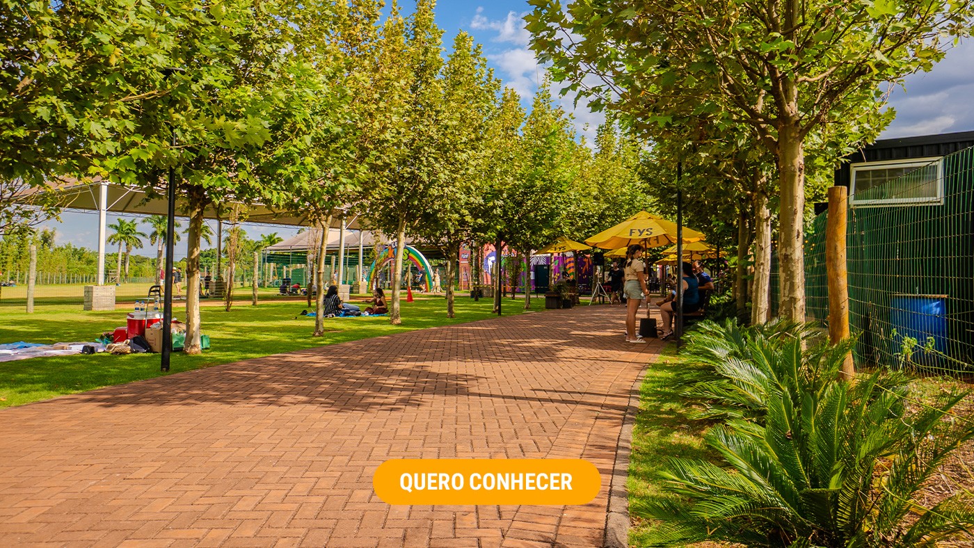 Quando a cidade desacelera, a vida acontece