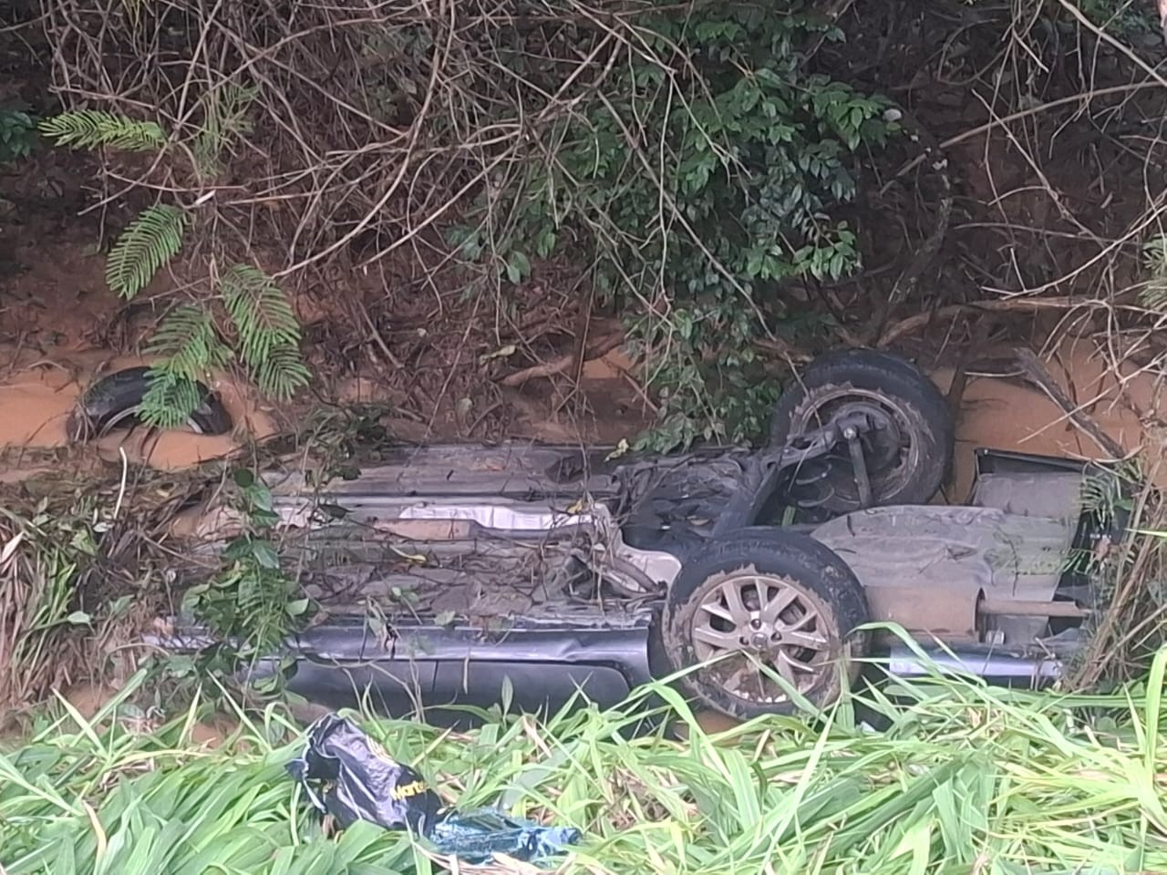 Casal, duas filhas e sobrinha morrem após carro bater em barranco e cair em córrego em MG