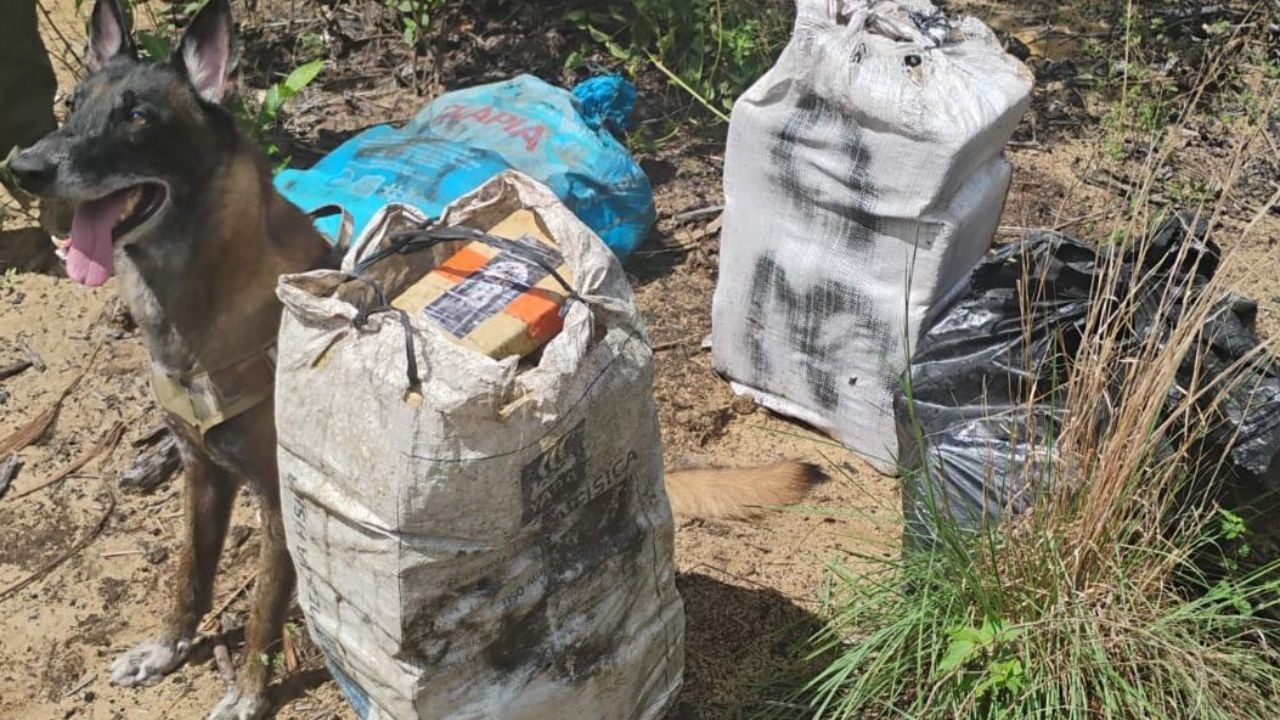 Carga de 700 kg de drogas escondida em mata e em tonéis com óleo diesel é apreendida no Amazonas