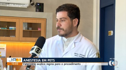 Veterinário explica em quais situações pests devem ser anestesiados para procedimentos