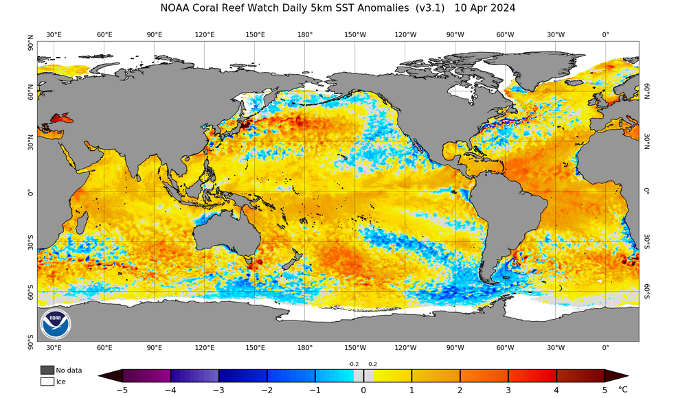Mapa mostra o aquecimento do Oceano Atlântico, fator que contribui para a ocorrência de chuvas no Norte e no Nordeste do país. — Foto: NOAA