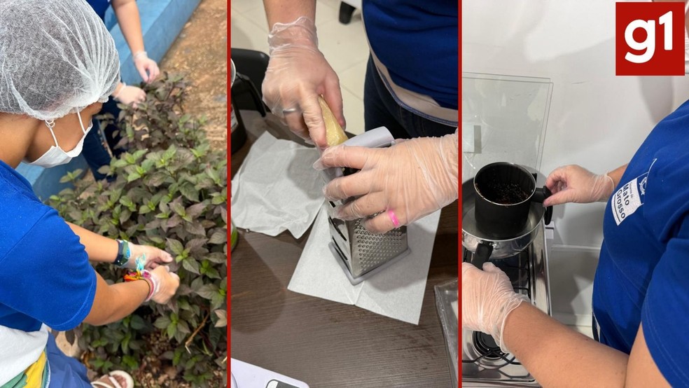 Pomadas são produzidas de forma caseira em espaço adaptado na escola estadual, em Barra do Garças. — Foto: Escola Estadual de Campo Heronides Araújo