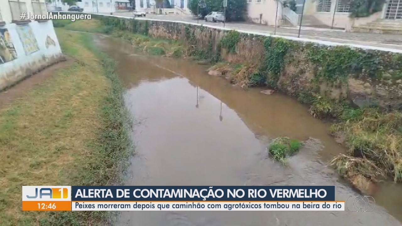 VÍDEOS: Jornal Anhanguera 1ª Edição deste sábado, 21 de dezembro de 2024