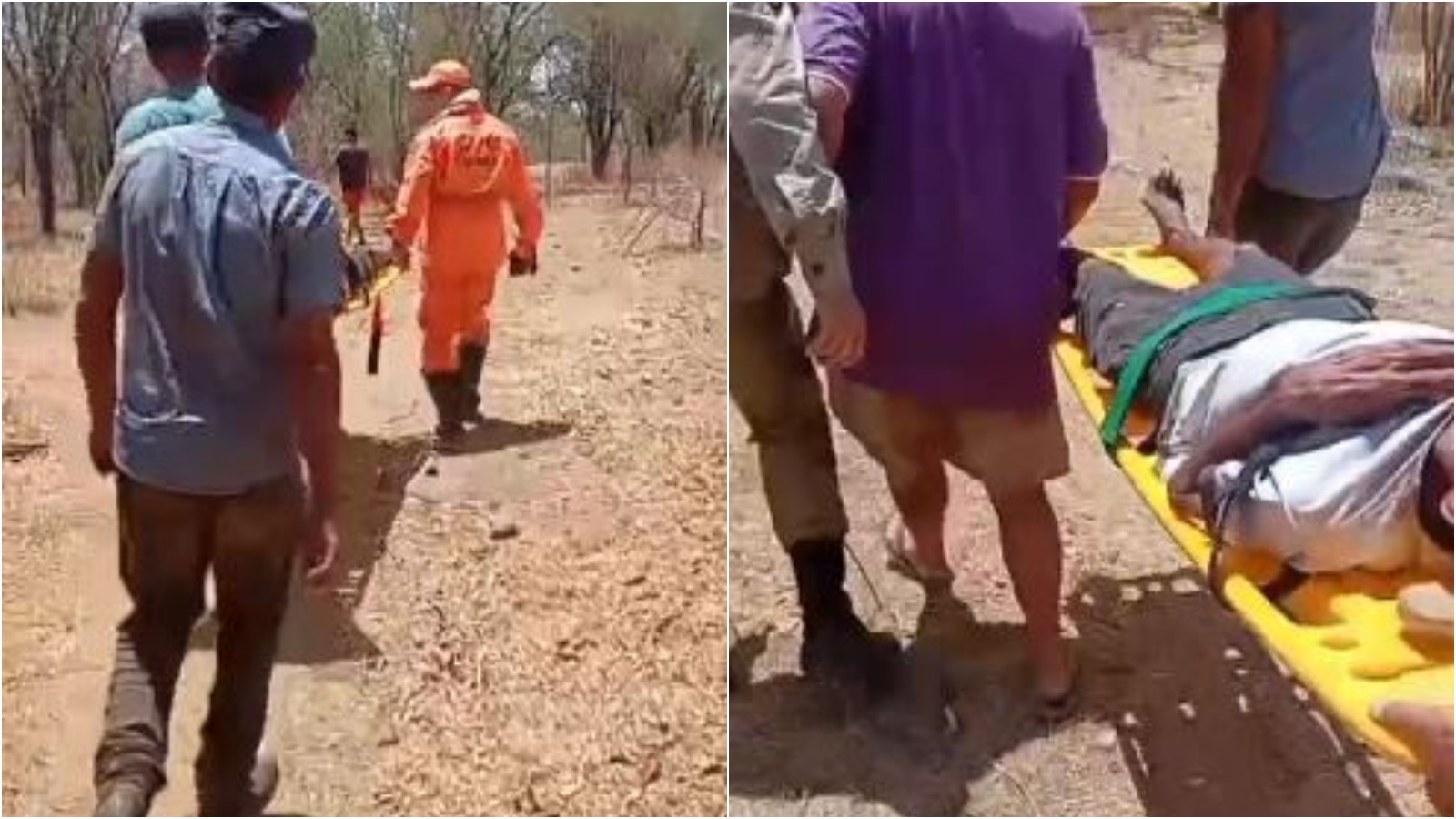Idoso com pouca visão é resgatado após cinco dias perdido em mata no Ceará; vídeo