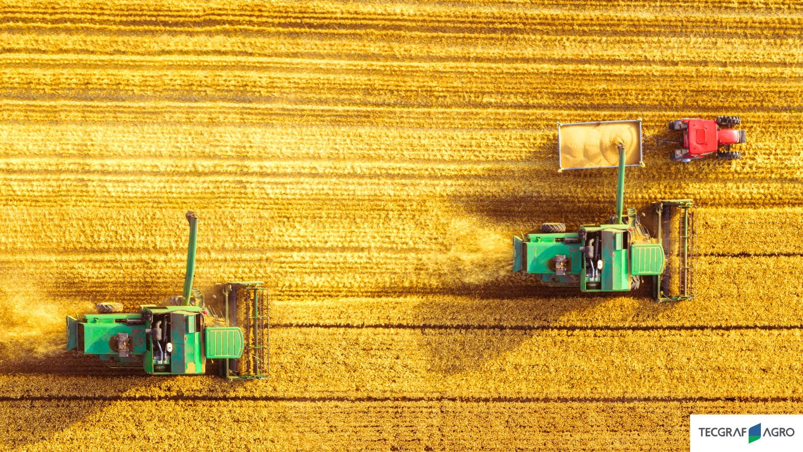 Tecnologia AgroCAD® promove aumento da produtividade com a valorização da terra