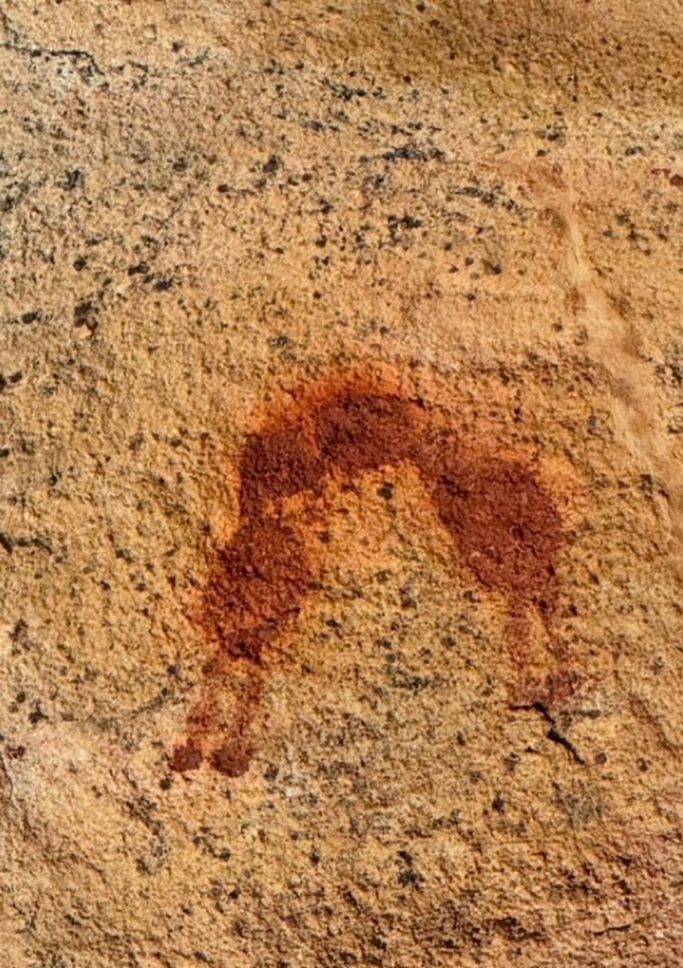 Regina Casé visita Parque da Serra da Capivara, berço do homem americano, no Piauí — Foto: Reprodução