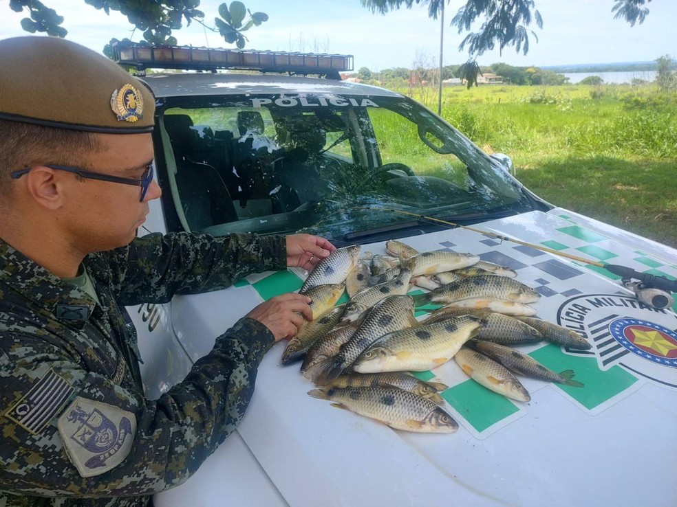 Homem faz captura irregular de peixes nativos, em Paulicéia (SP) — Foto: Polícia Ambiental