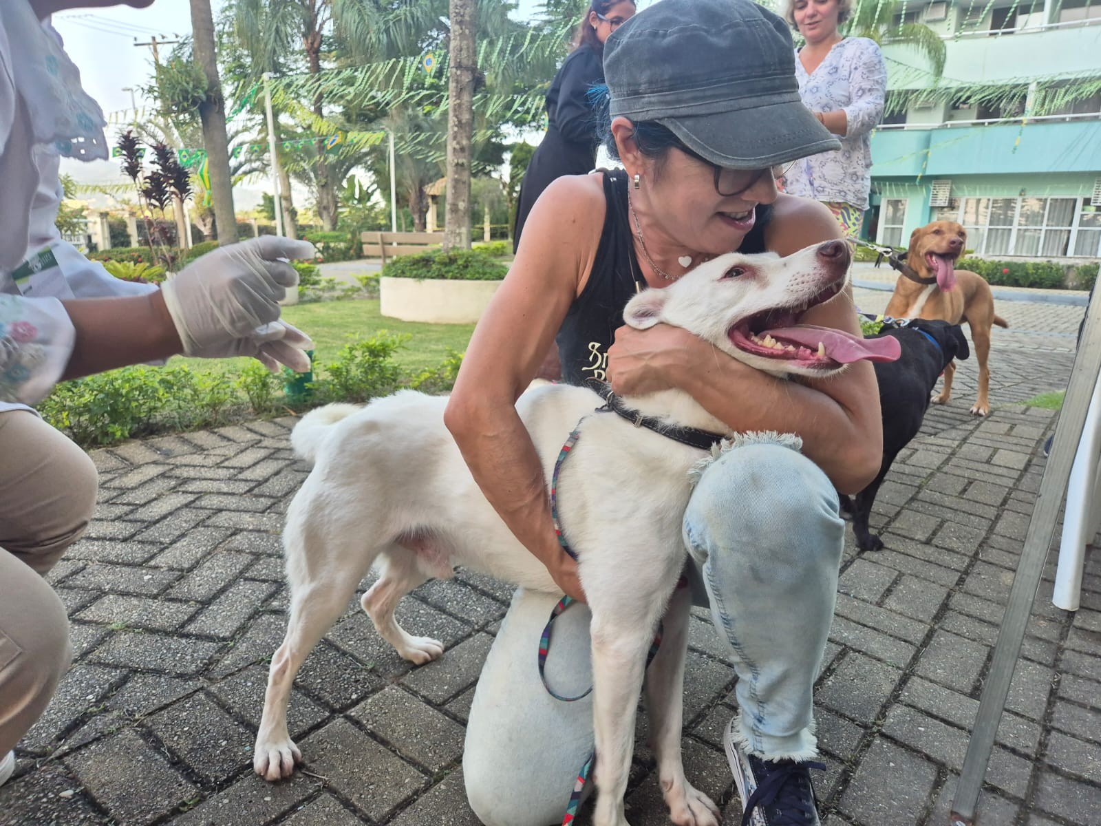 Vassouras e Paty do Alferes recebem campanha gratuita de vacinação para cães e gatos